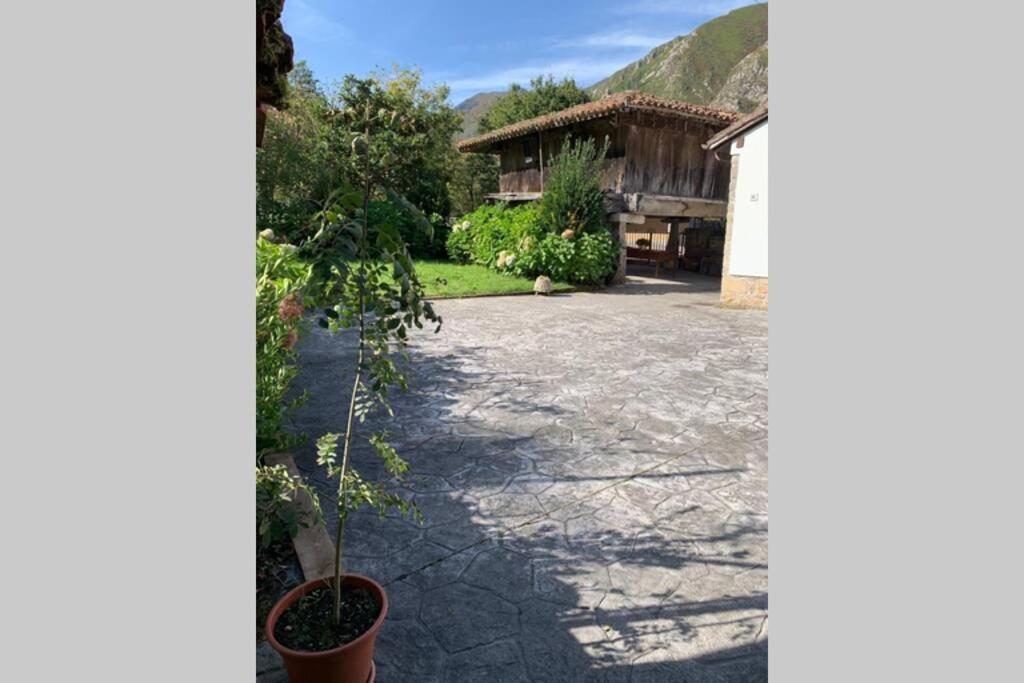 Casa Carmen Respira Asturias, Respira Naturaleza. Caño Екстериор снимка